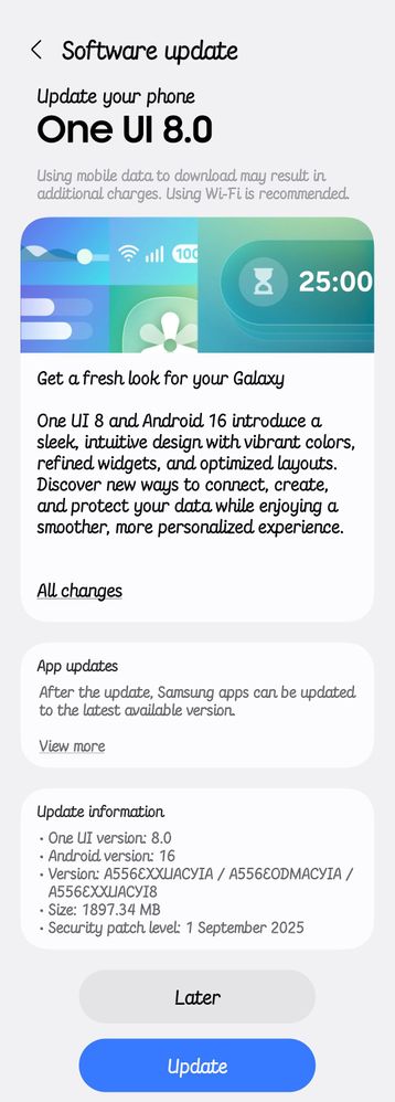 Galaxy A55 5G One UI 8 update (India)