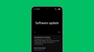 Samsung One UI software update page
